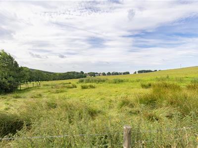 Picture 31